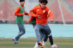 柔道友谊赛，瓯越闪电队与胶东玄武队强势反弹，体能对抗拉满！冲刺阶段不容有失的简单介绍-安博娱乐